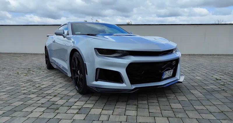 świętokrzyskie Chevrolet Camaro cena 95000 przebieg: 113000, rok produkcji 2017 z Poznań